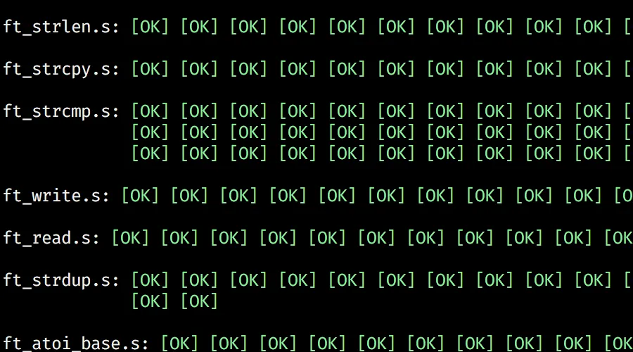 libasm_test